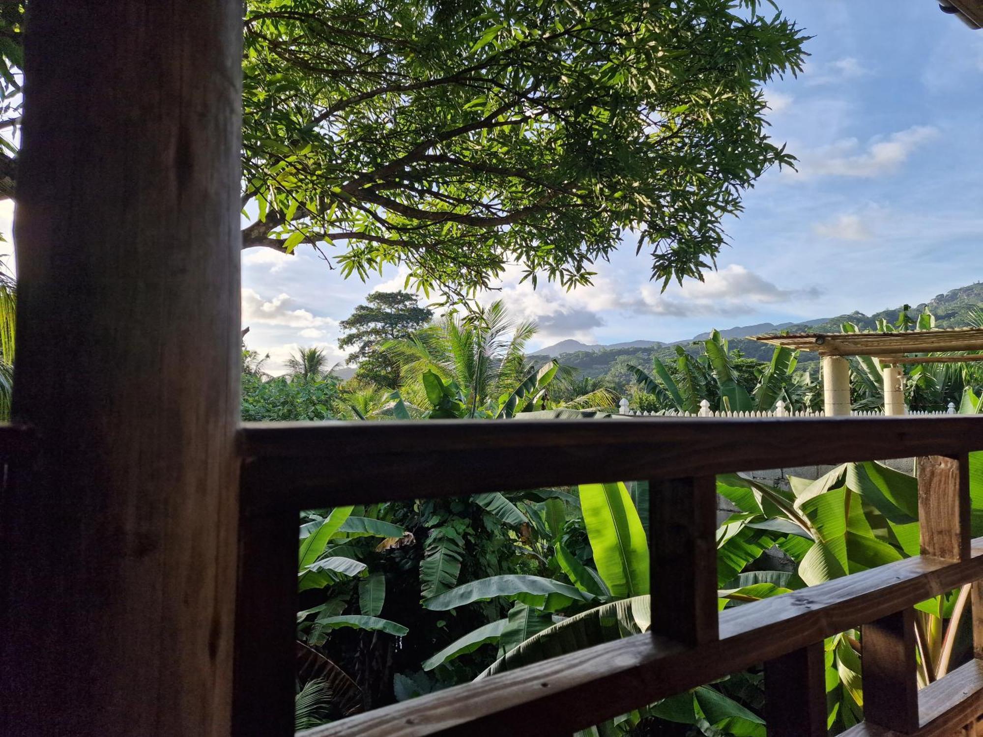 A Peace In Paradise アンス・ロワイヤル エクステリア 写真